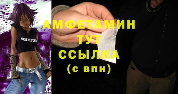 стаф Болхов