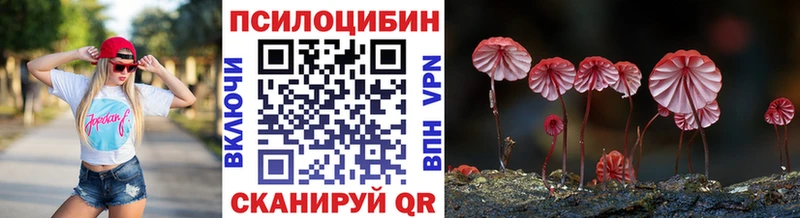 MEGA ссылка  Кондопога  Галлюциногенные грибы мицелий  цены наркотик 